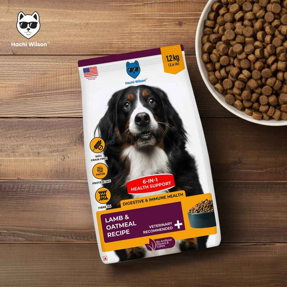 Hachi Wilson Premium USA-Made Dog Food - Lamb & Oatmeal for Stronger, Healthier Dogs