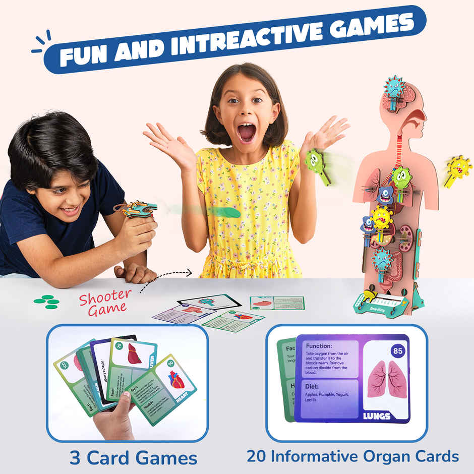 Smartivity DIY Human Body Model with Organ Card Games, Fun & Educational Toy
