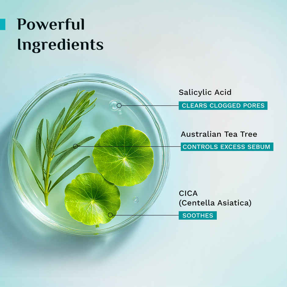 Pilgrim Tea Tree purifying Gel Face Wash with 1% Salicylic Acid for Oily Skin, Acne and Pimples