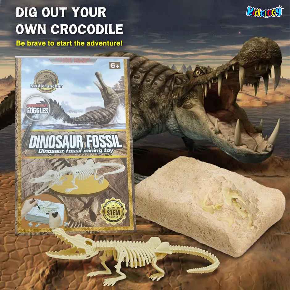 Kidology Dinosaur Fossil Digging Kit for Kids | Dino Fossil Dig Kit Model Toys | Dinosaurs Skeleton