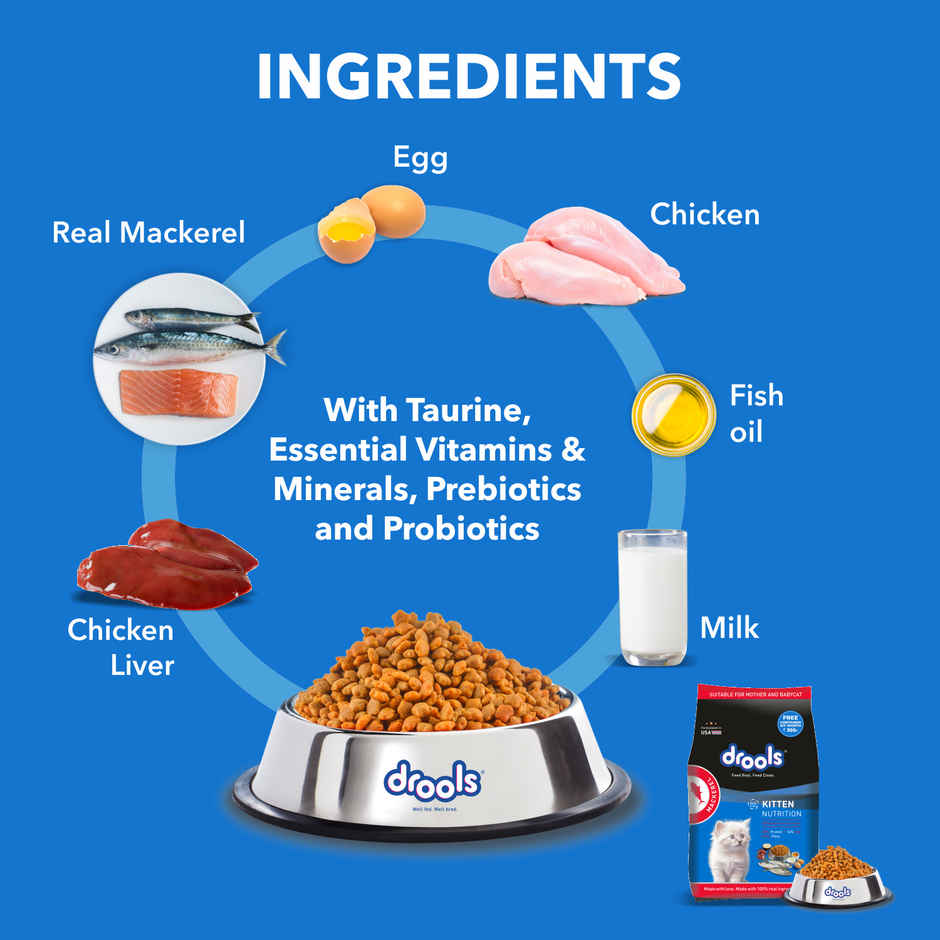 Drools Kitten (1-12 Months) Dry Cat Food, Mackerl, With Free Container