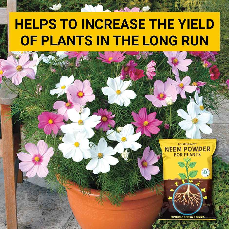 TrustBasket Neem Cake Powder | Organic Fertilizer & Pest Repellent for Home Gardening