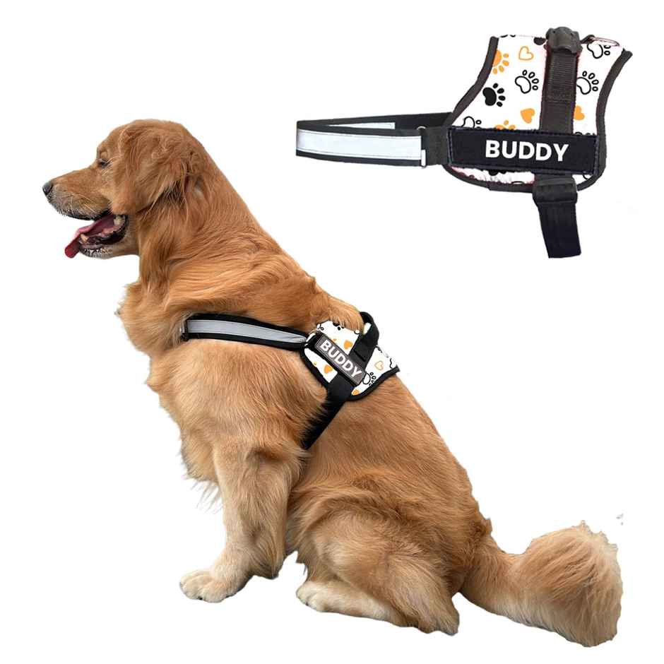 Payton Perry Dog Harness | Choke-Free | Adjustable Neck & Chest | For 24-35 kg Pet | White Paw - L