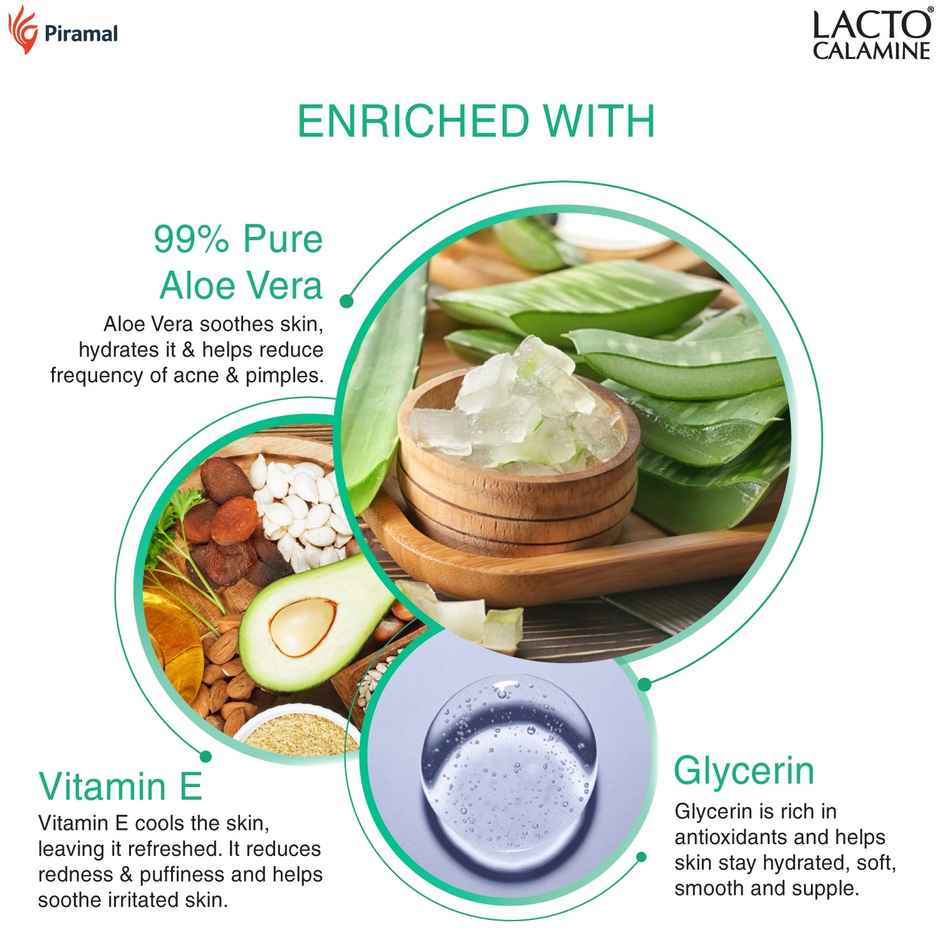 Lacto Calamine Aloe Vera Gel