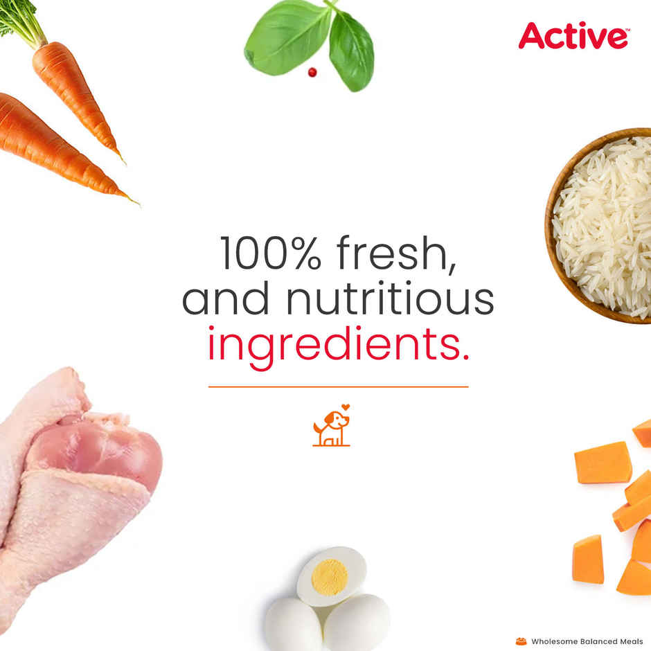 Active Chicken and Pumpkin Biryani Fresh Dog Food