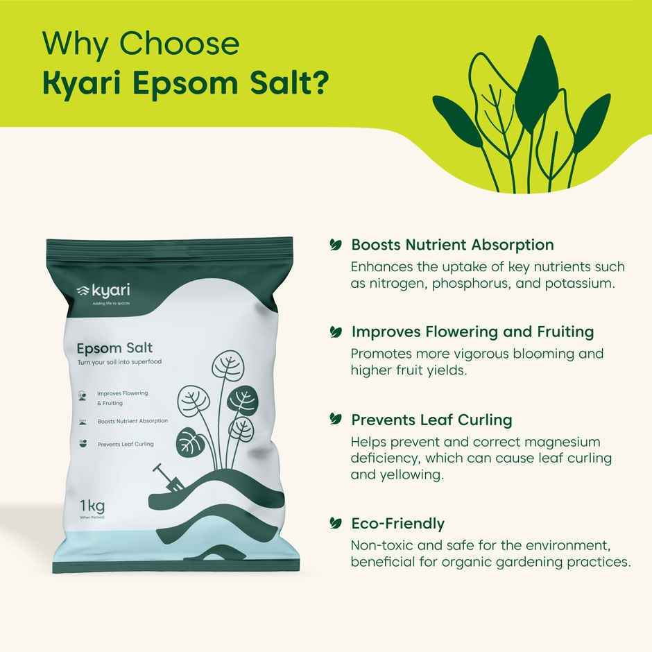 Kyari Epsom Salt for Plant Growth I Magnesium Sulphate