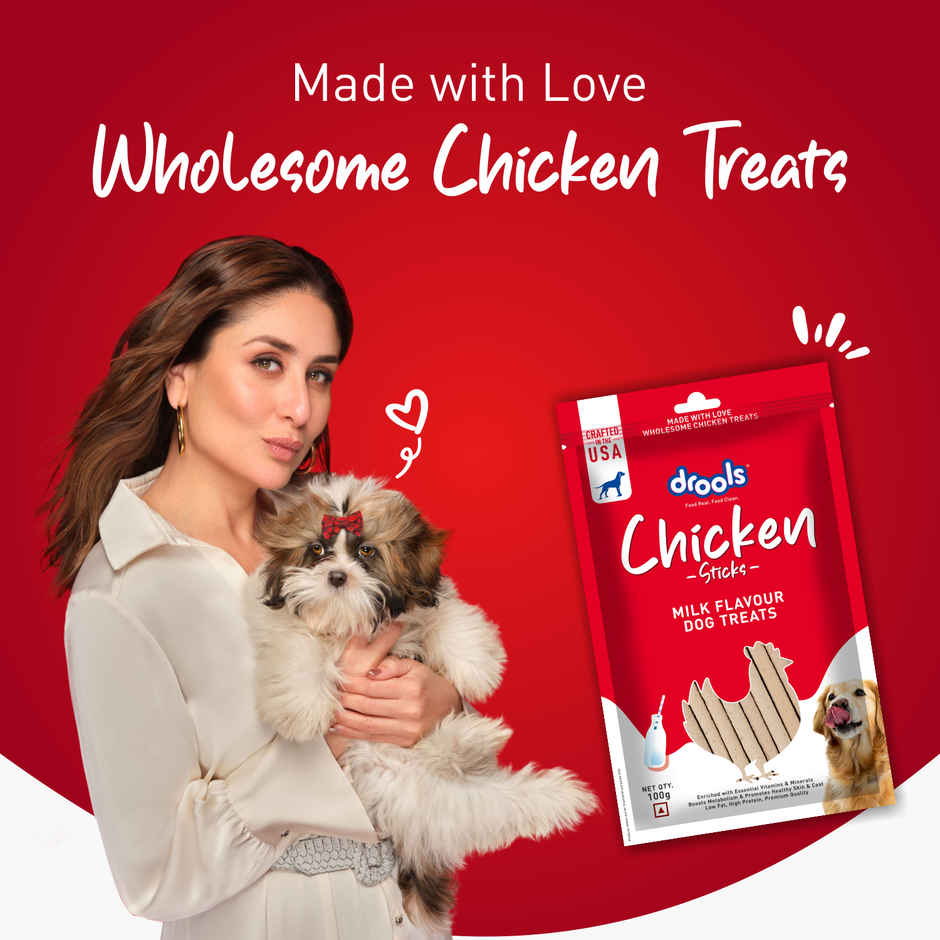 Drools Chicken Milk Flavor Dog Treats Sticks
