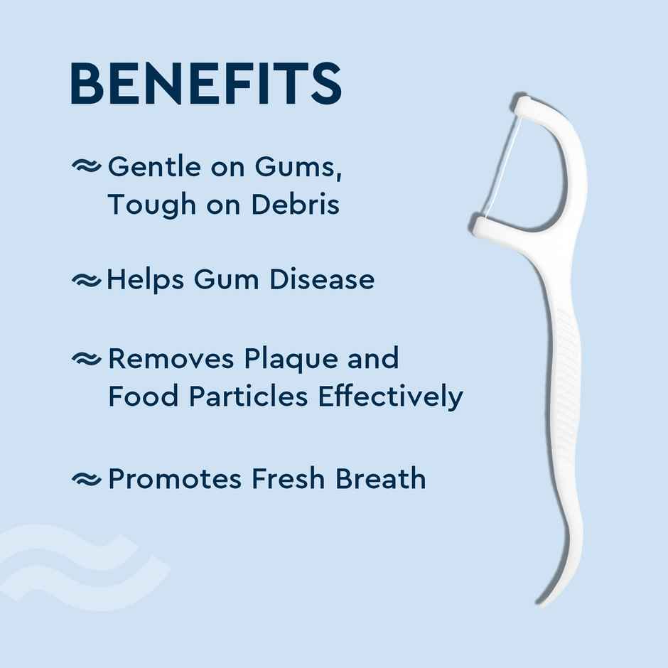 GUBB Dental Floss Pick Pack of 24