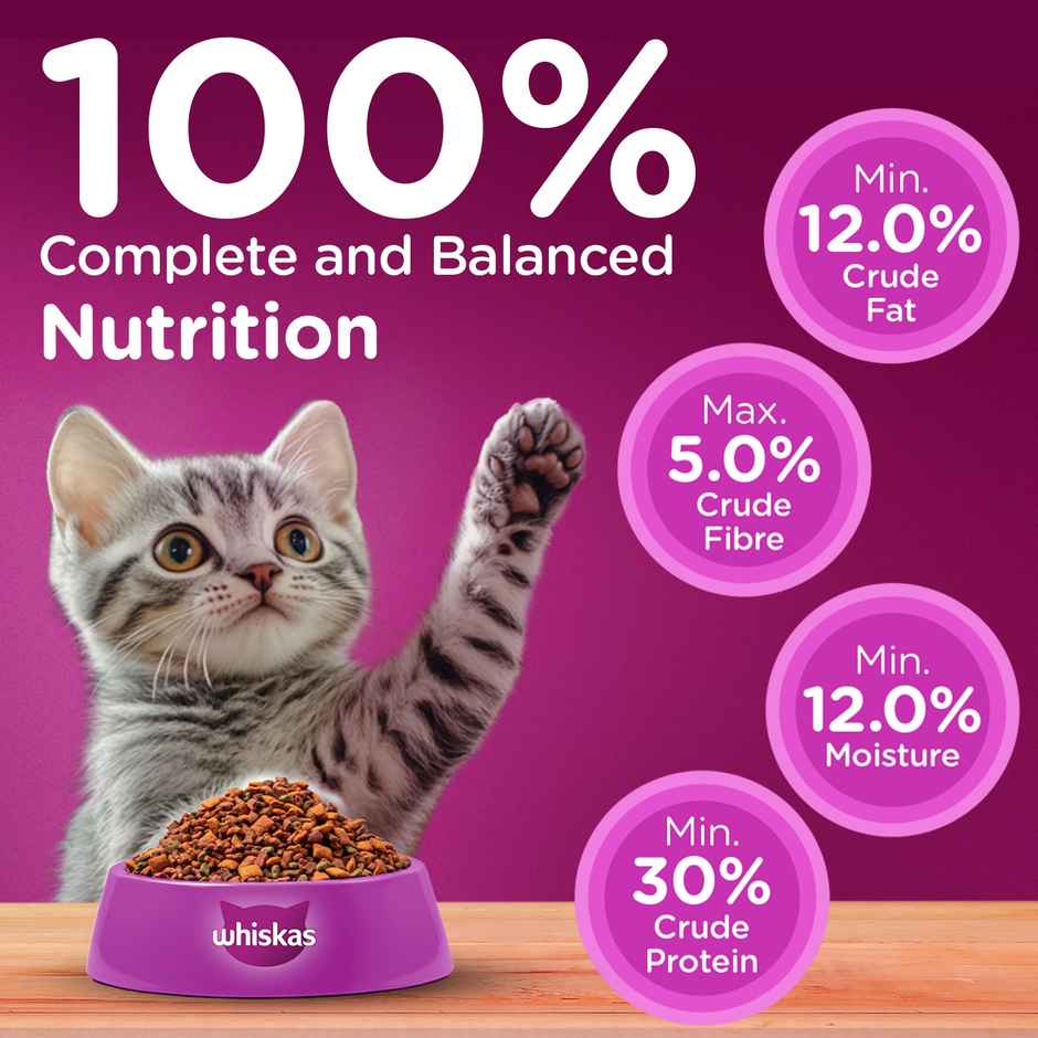 Whiskas Kitten Ocean Fish Flavour Dry Cat Food Combo