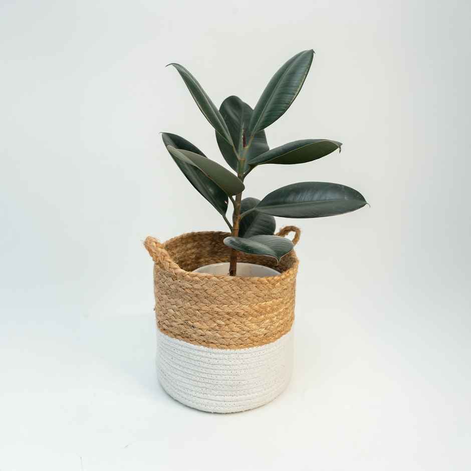 PrettyKrafts Jute Storage Basket | 8 x 8 Inch Small | Planter