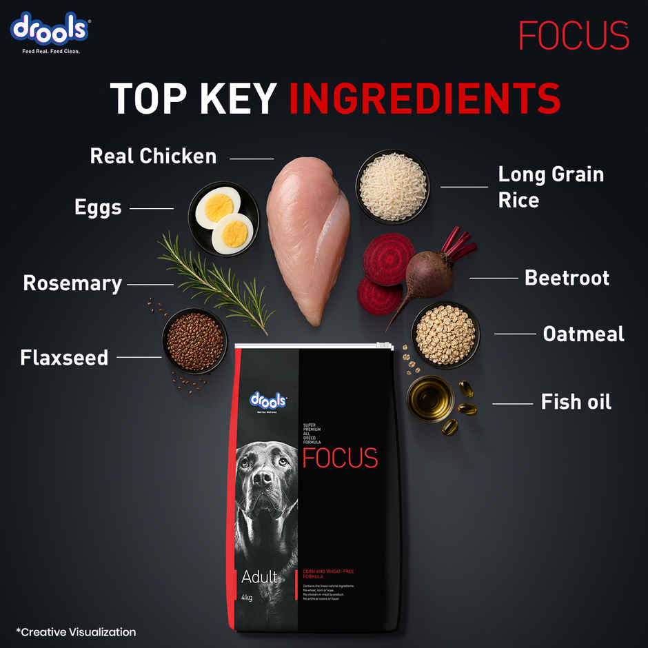 Drools Focus Adult Super Premium Dog Food