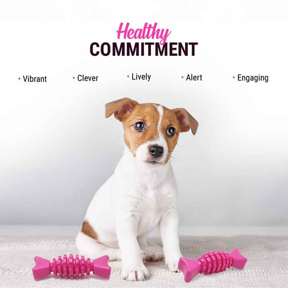 Urbanfix Pet Tether Toy | Heavy-Duty Long-Lasting Chew Toy for Active Dogs - Assorted