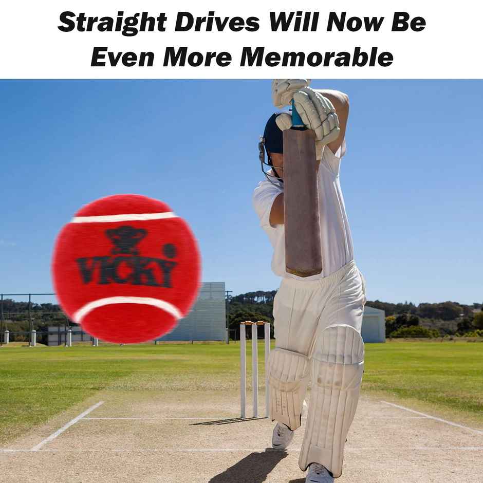 Vicky Heavy Weight Rubber Cricket Ball | Red