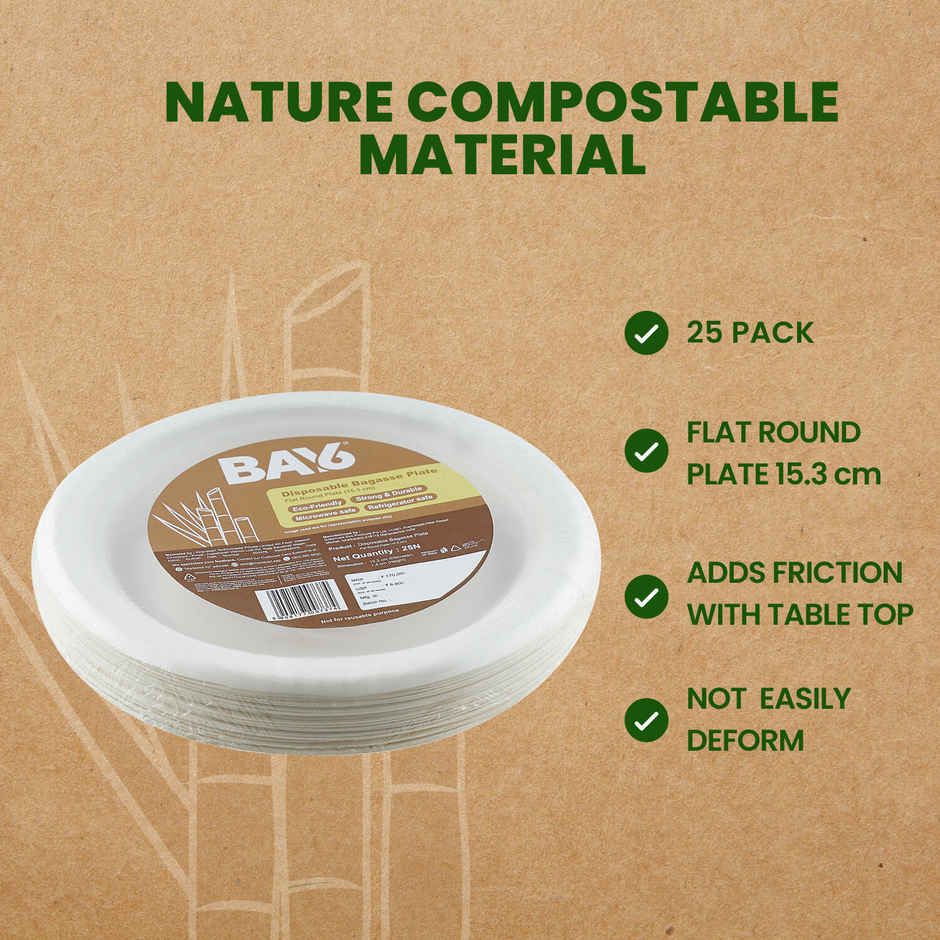 Round Disposable Flat Plate | 15 cm | BAY6