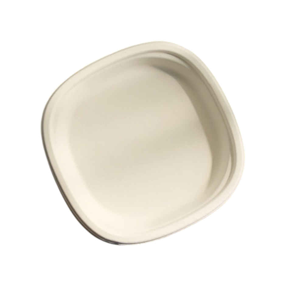 Paper Plate | 6 inch | Careswipe