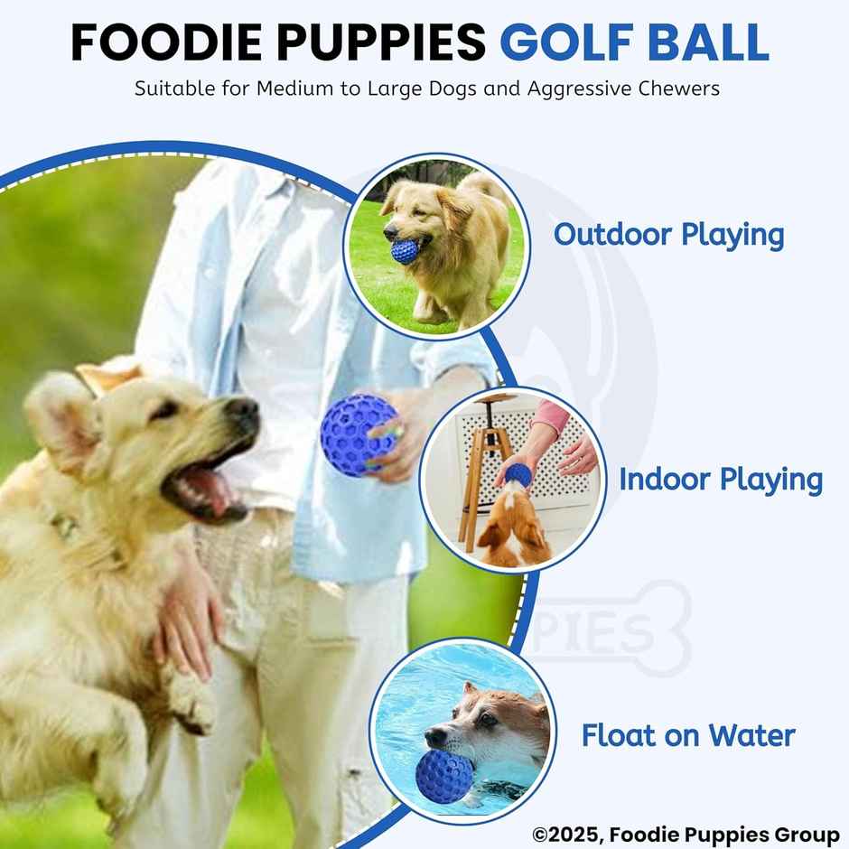 Foodie Puppies Tough Rubber Squeaky Dog Chew Golf Ball