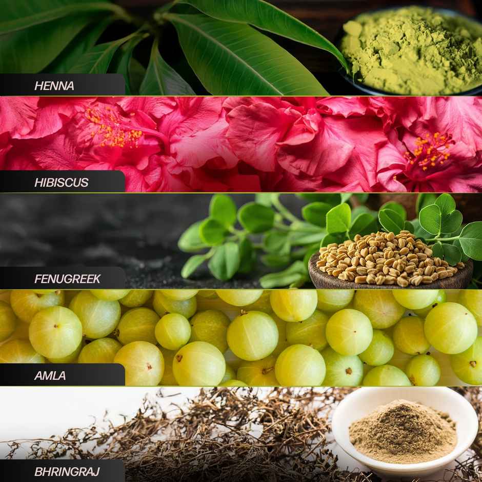 Indica 10-Minute Hair Color Shampoo | Ammonia-Free with 5 Herbal Extracts | Dark Brown