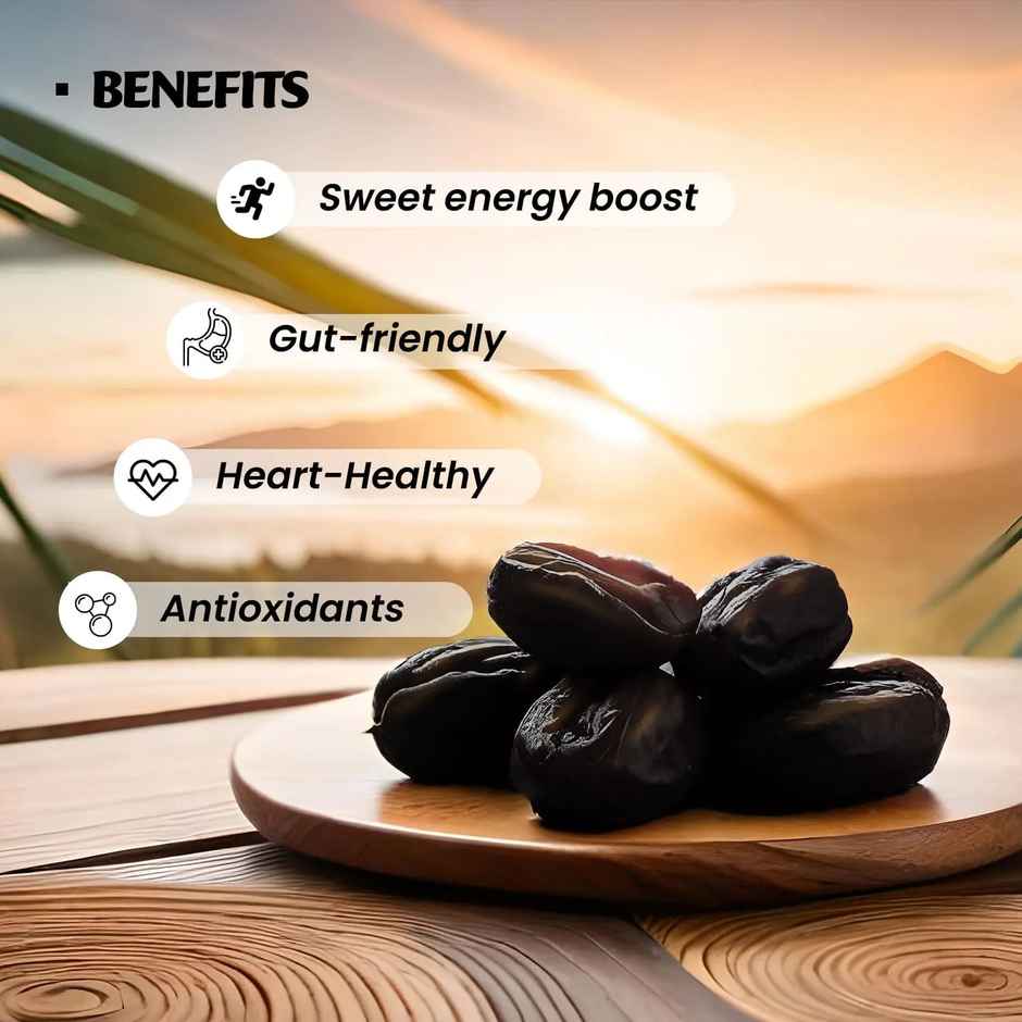 Lion Desert King Dates