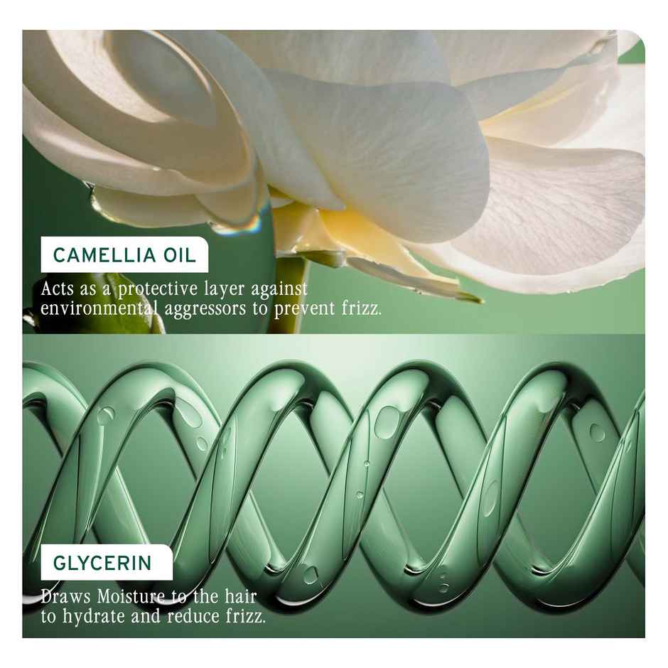 Biolage Smoothproof Anti-Frizz Shampoo with Camellia oil and Glycerin for 72HR Frizz Control