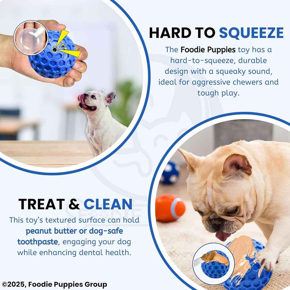 Foodie Puppies Tough Rubber Squeaky Dog Chew Golf Ball