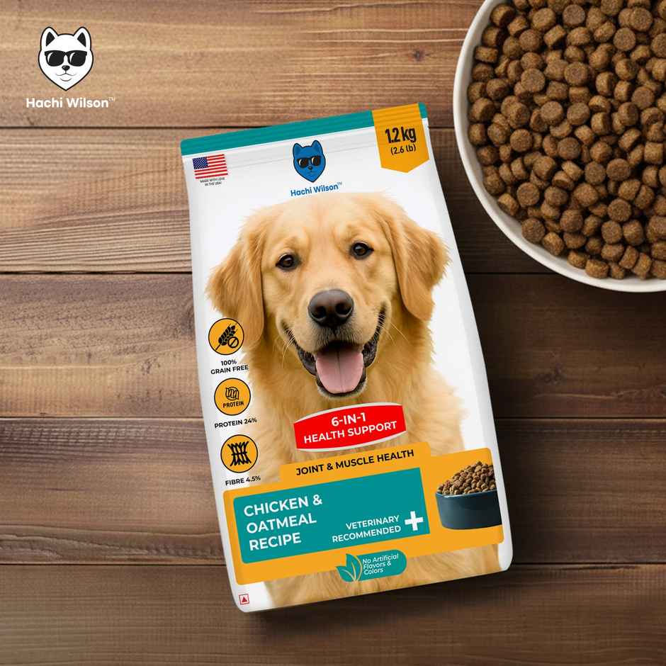Hachi Wilson Premium Chicken & Oatmeal Dog Food - USA Made for Complete Health & Vitality