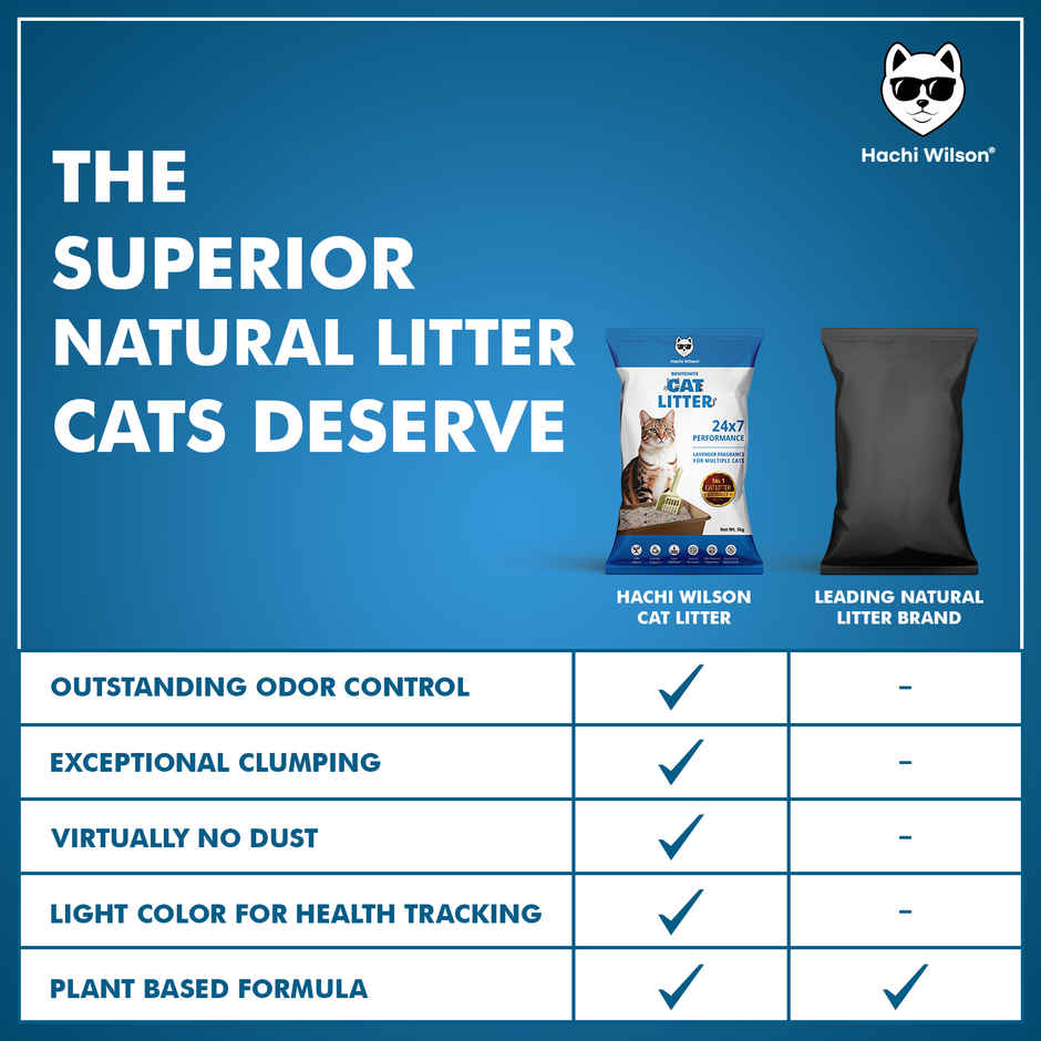 Hachi Wilson Premium Natural Bentonite Cat Litter Unscented