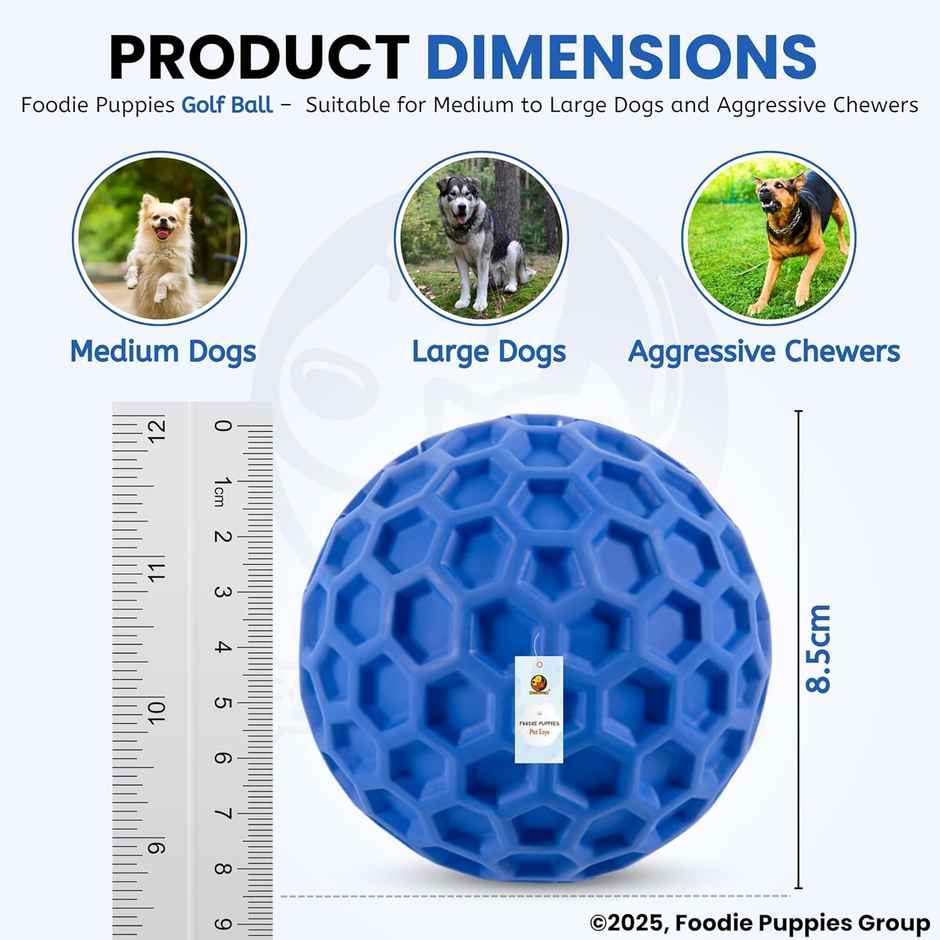 Foodie Puppies Tough Rubber Squeaky Dog Chew Golf Ball