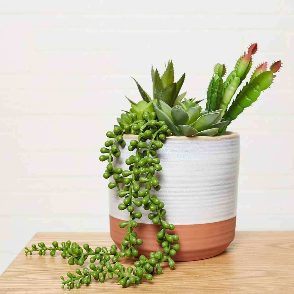 Tied Ribbons 6 Pcs Artificial Succulents Hanging Plants String of Pearls Plant Leaves | 93 Cm Long