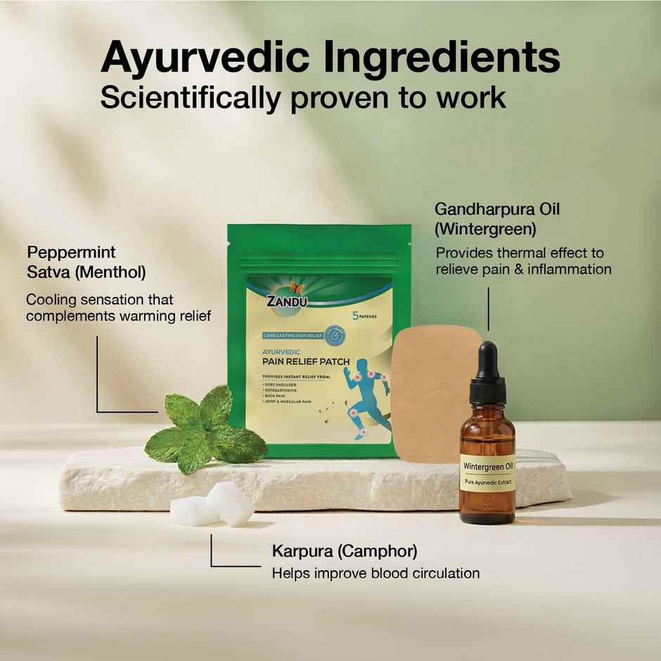 Zandu Ayurvedic Pain Relief Patch (Pack of 5 patches)