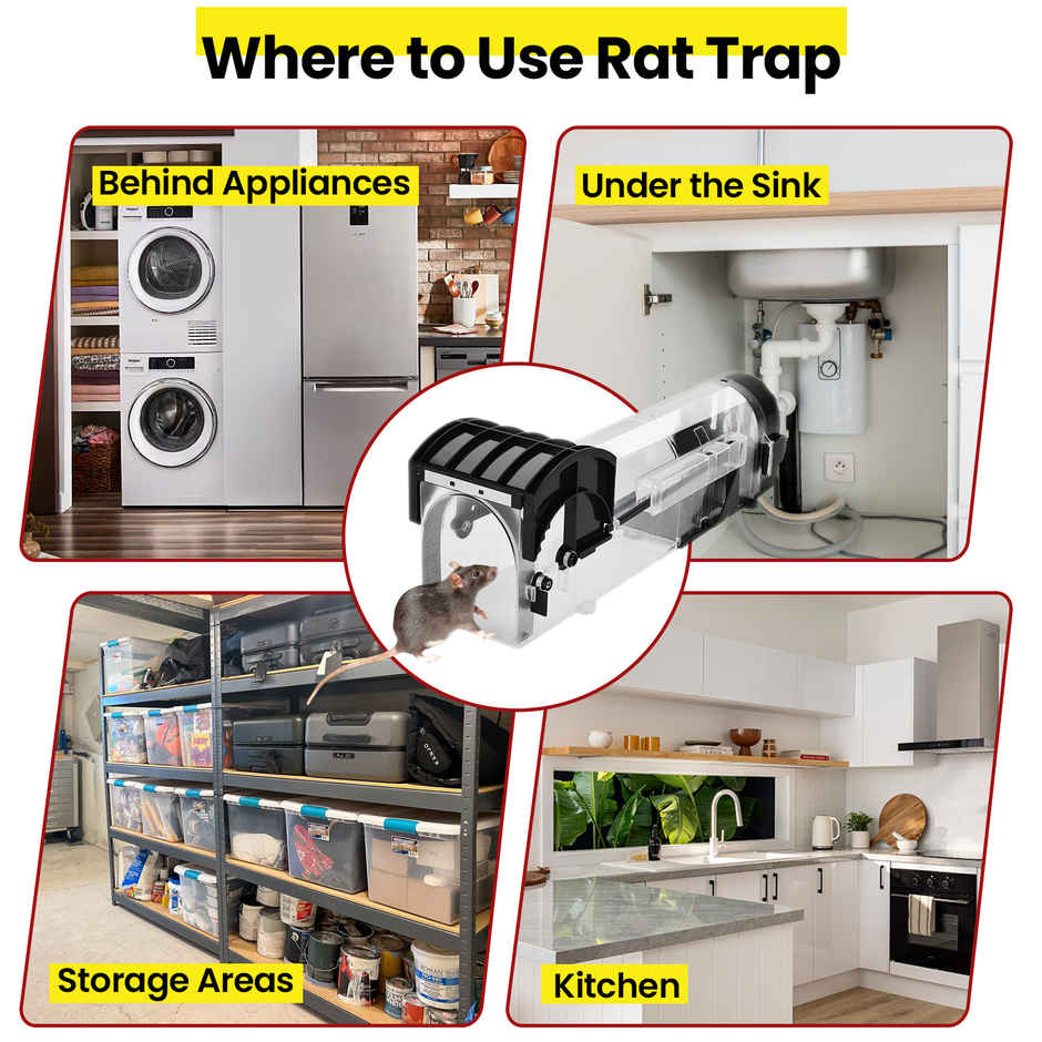 Mr. Right Rat Trap