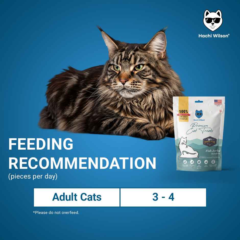 Hachi Wilson Cat Treat - Fish Crunchies