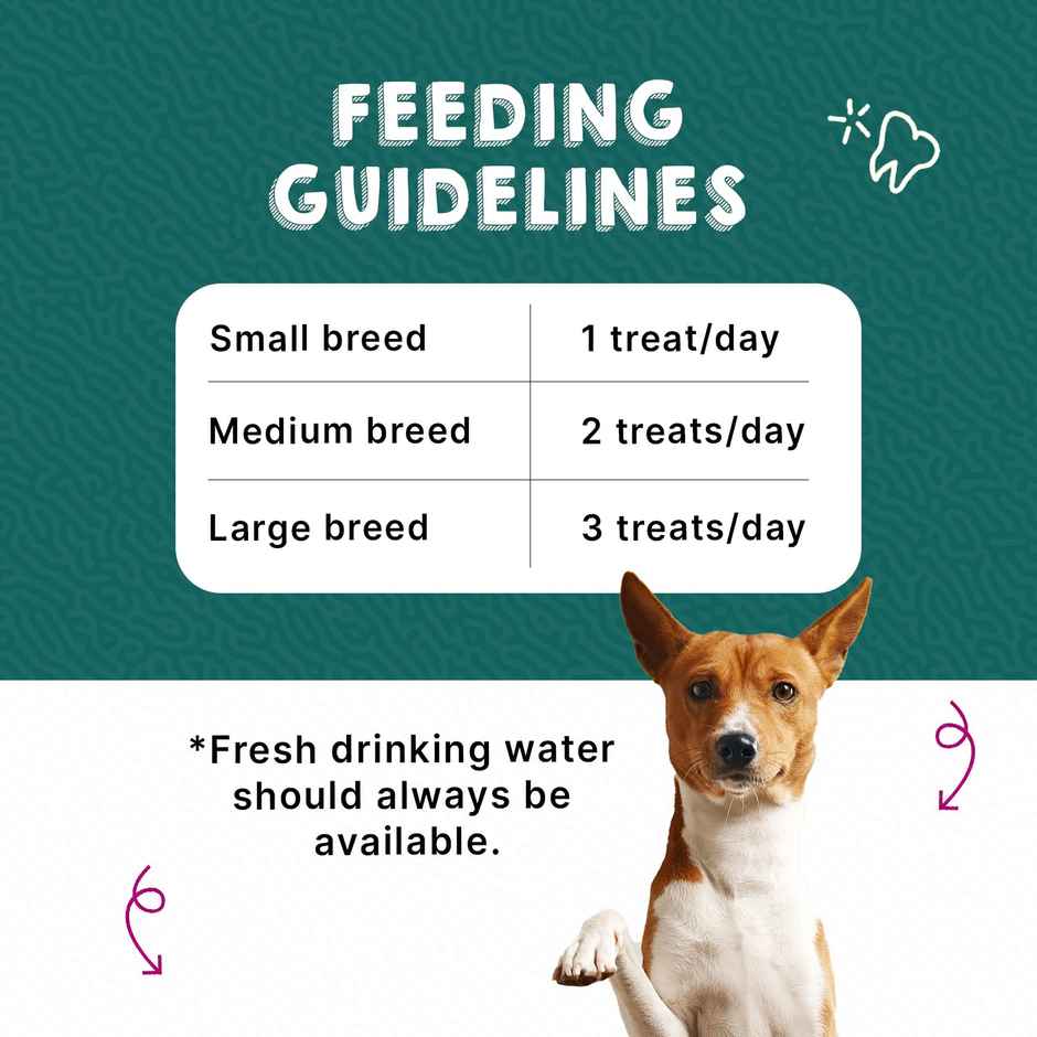 Goofy Tails Active Dental Sticks - Seaweed