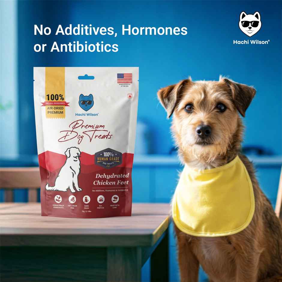 Hachi Wilson Premium Dog Treat Dehydrated Chicken Feet