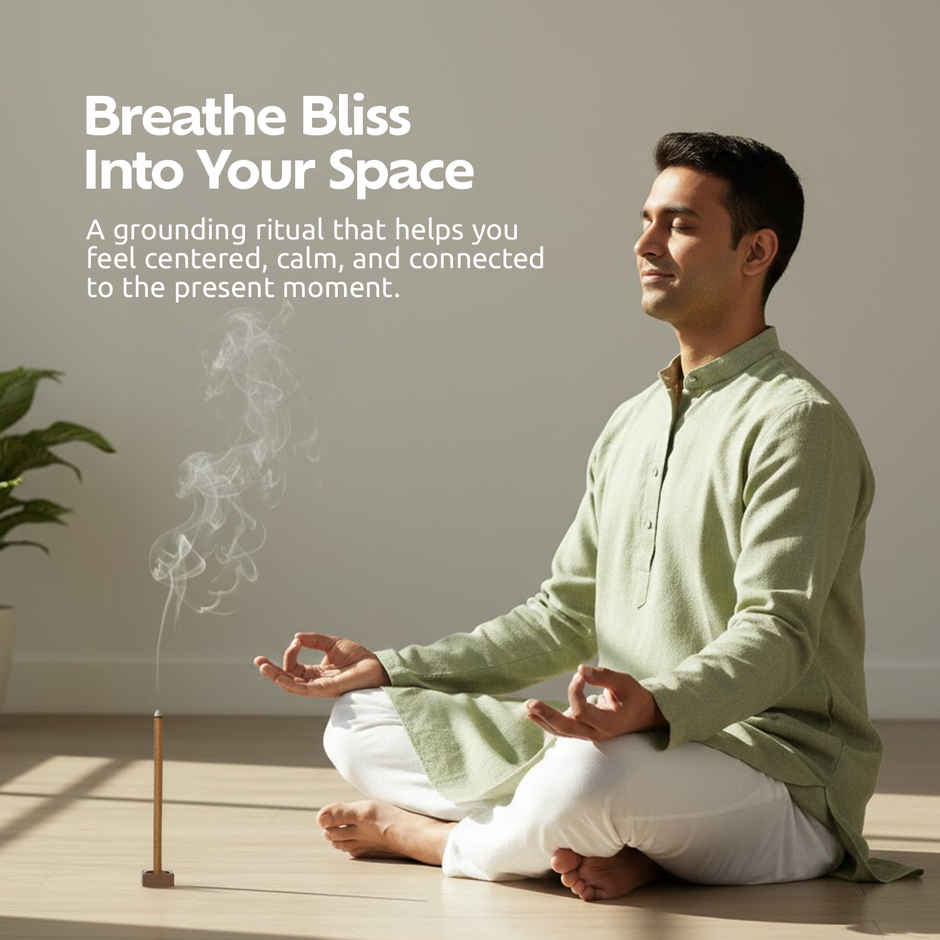 Pranah Cosmic Vibes | Bhoomi | Dhoop Sticks | 25 Sticks