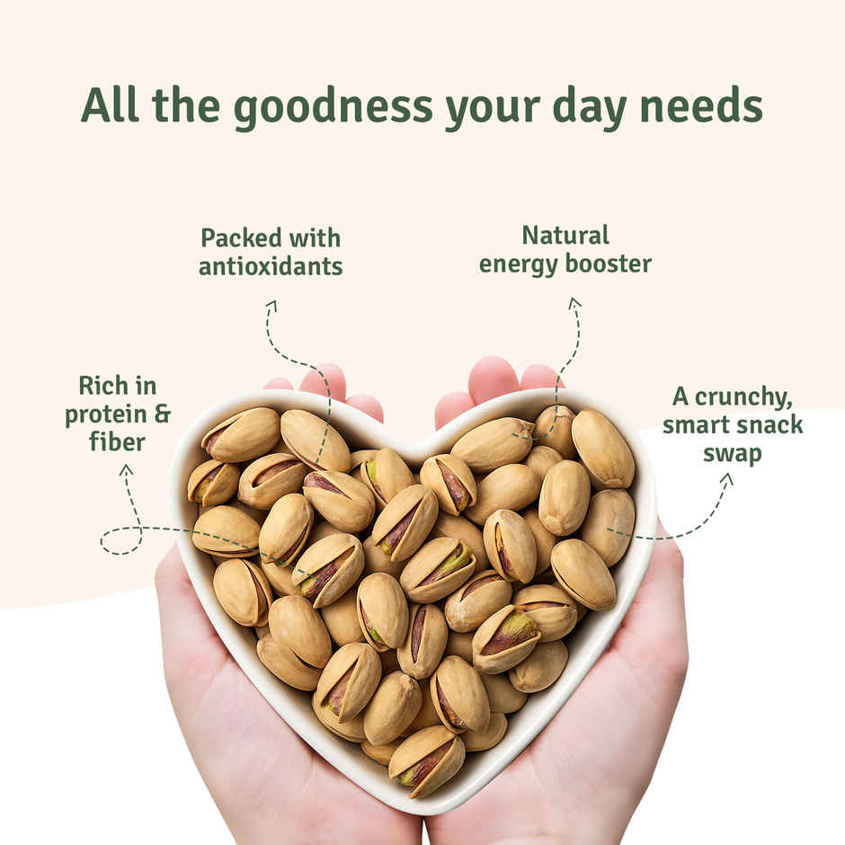 FarMart Pantry Premium Roasted & Salted Pistachios