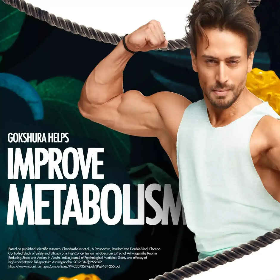 Kapiva Him Foods Shilajit Gold Resin Combo