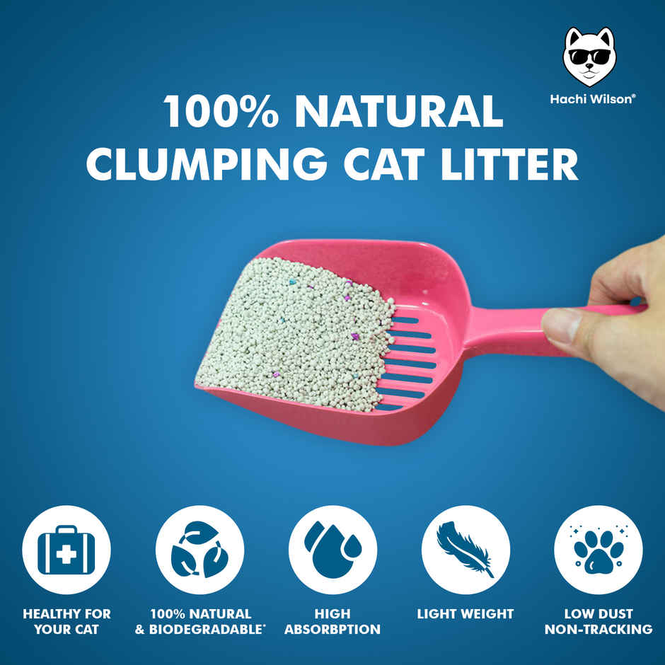 Hachi Wilson Unscented Cat Litter | Clumping, Natural Bentonite