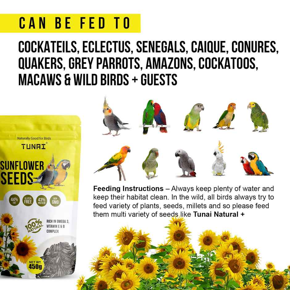 Tunai Sunflower Seeds For Birds