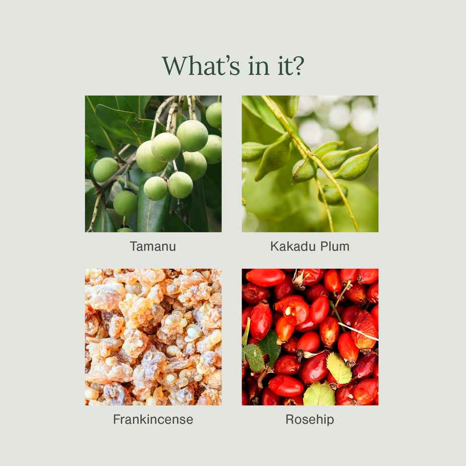 Juicy Chemistry Tamanu & Kakadu Plum Face Wash | Antioxidant-rich for Pigmented and Dull Skin