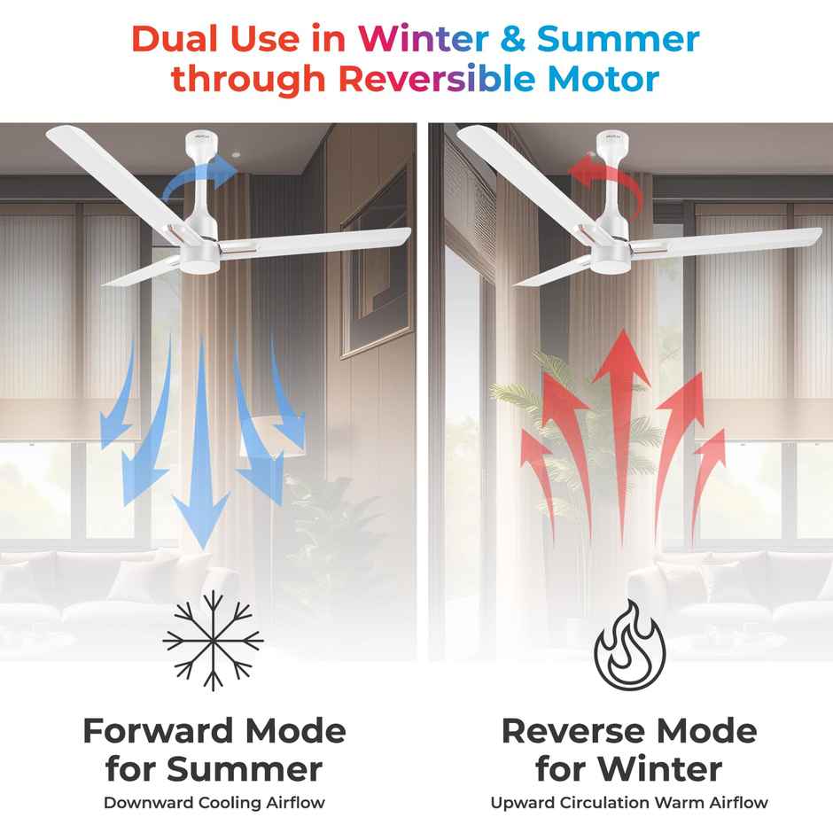 Polycab Wizzy Neo BLDC Ceiling fan, 1200mm, Remote Control, 5-Star, 6 Speed Settingr,White Rosegold