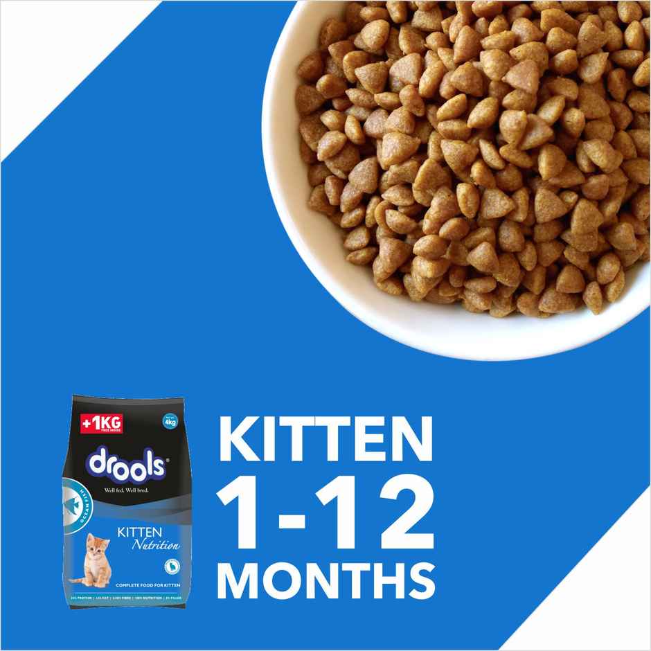 Drools Ocean Fish Kitten Cat Food (3 kg+1 kg Food Free Inside)