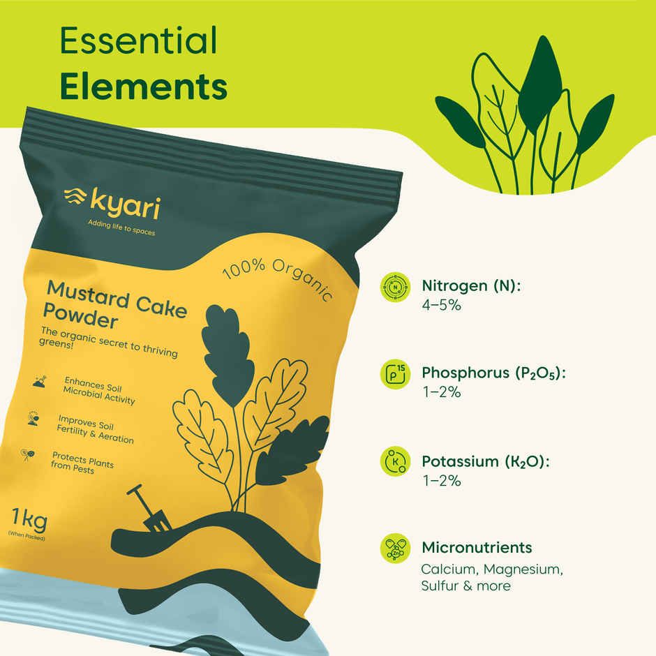 Kyari Mustard Cake Powder