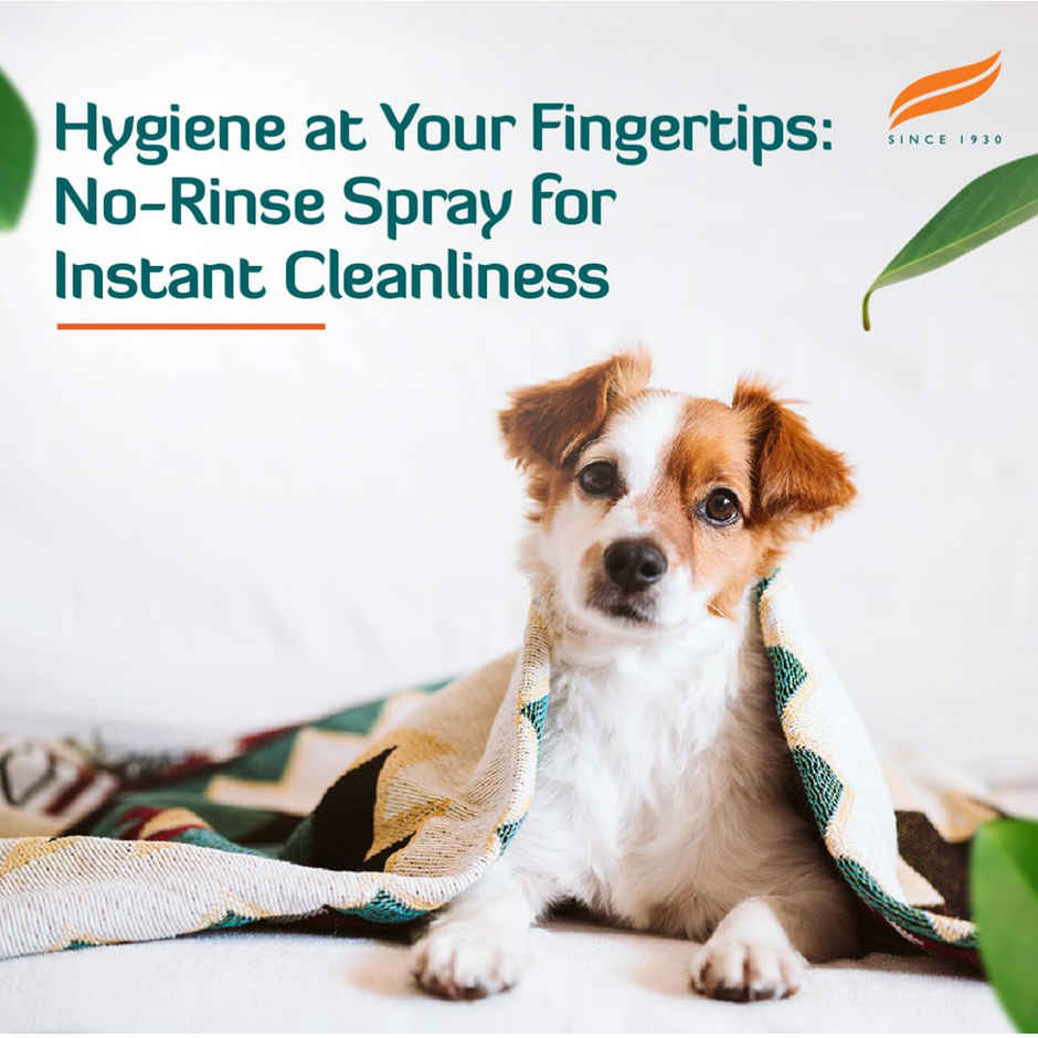Himalaya Fresh Coat