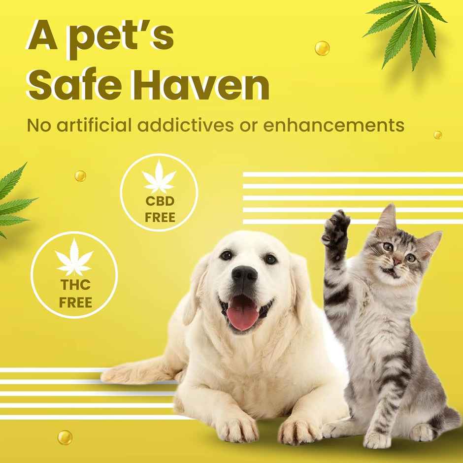 Bark Out Loud - Multivitamin Dog Treats, Fresh Chicken Immunity Chewstix With Omega & Zinc To Boost Health (100g) & Bark Out Loud Hemp Chewstix - Skin & Coat Fresh Chicken Dog Treats (100g) Combo