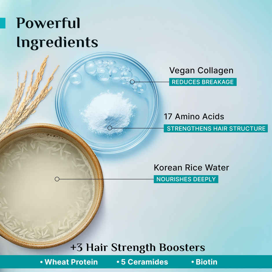 Pilgrim Korean Rice Water & Collagen Advanced Repair Shampoo for Damaged Hair