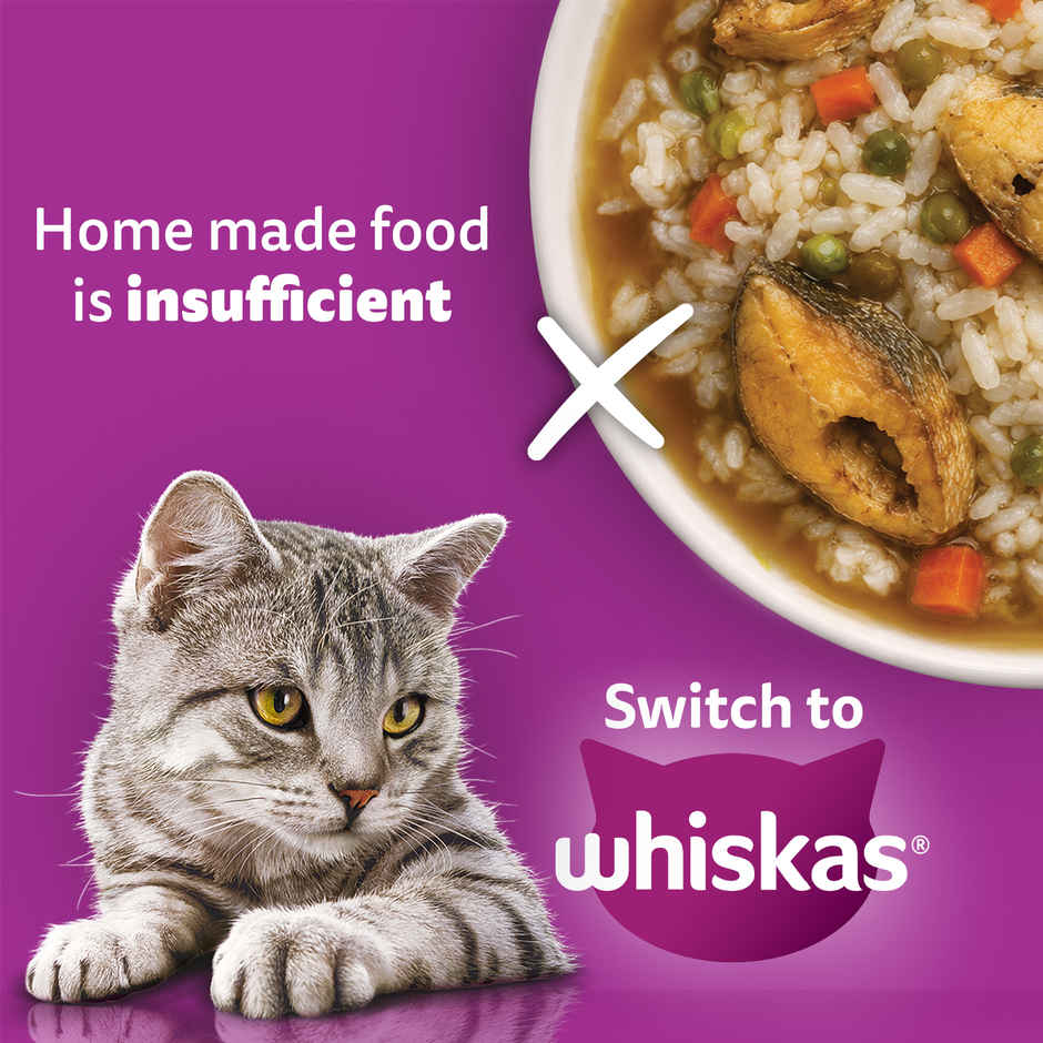 Whiskas Adult Dry Cat Food 1 Plus Years Catla Fish Flavour
