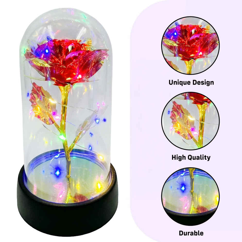 Preserved Rose in Glass Dome with LED Light Flower Decor | Party Propz