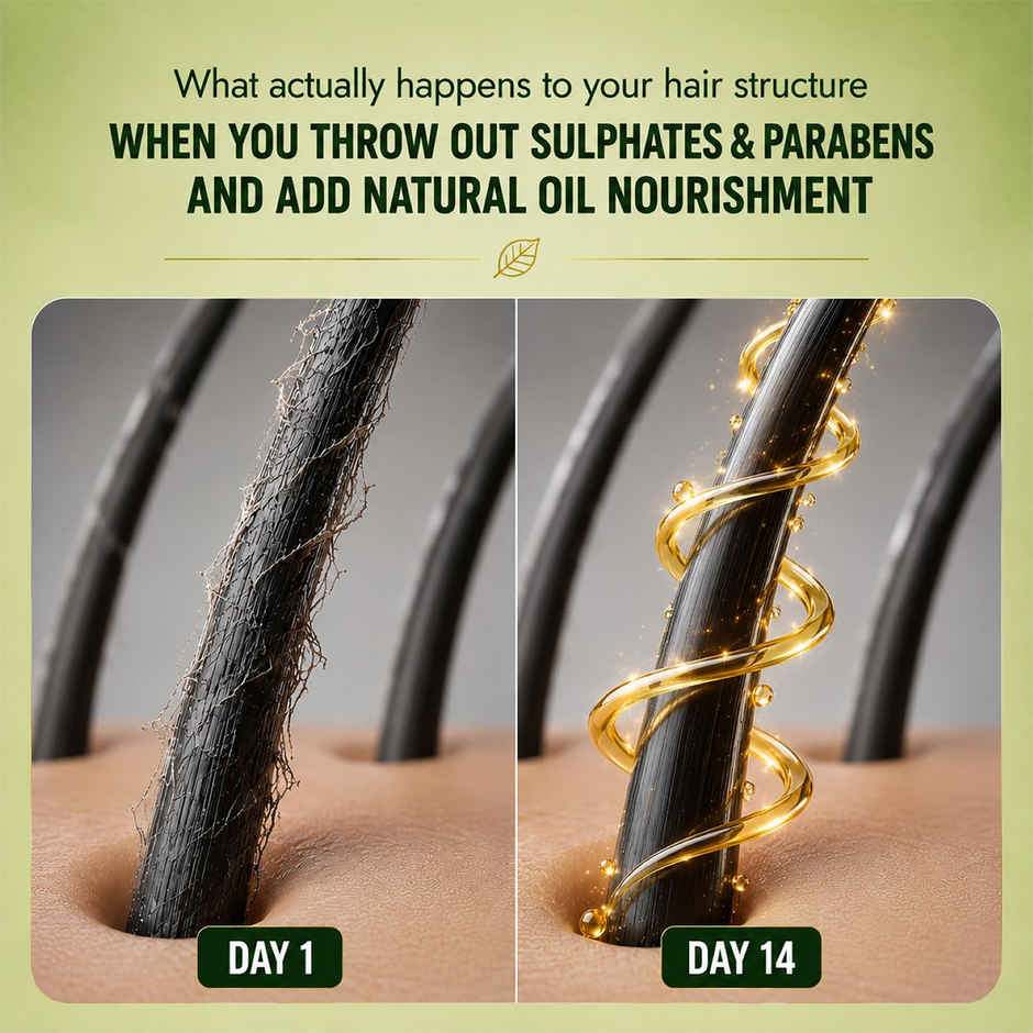 Herbal Essences Moroccan Argan Oil Shampoo For Frizz Free (400ml) & Herbal Essences Argan Oil Of Morocco Conditioner- For Hair Repair (400ml) Combo