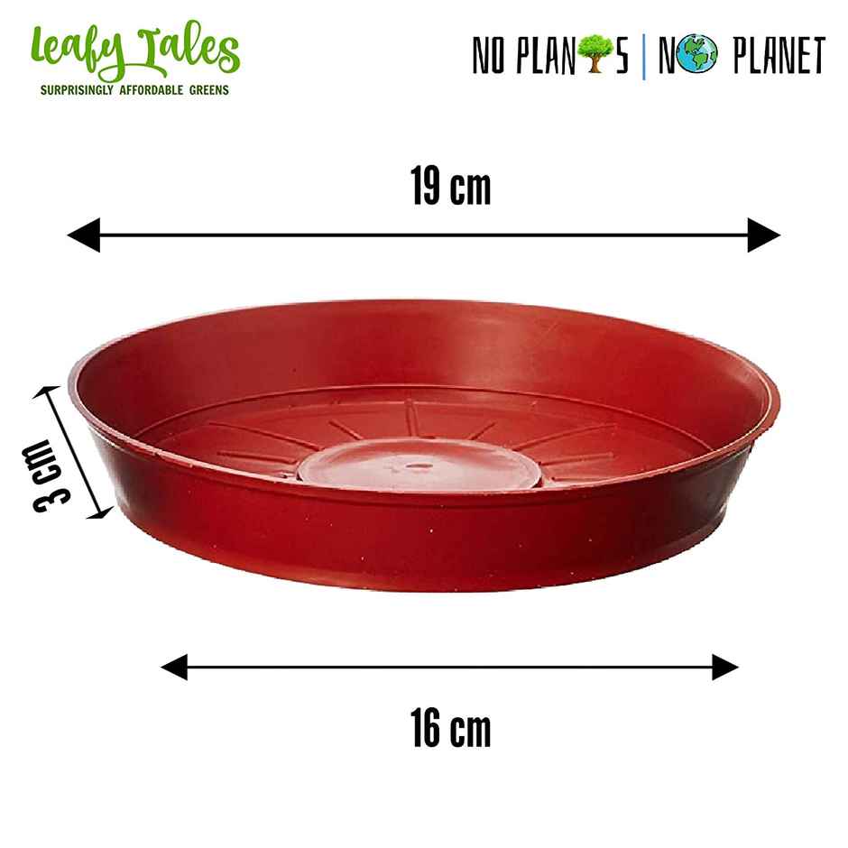 Leafy Tales Plants Bottom Plate, Drip Tray For Plants, Gamla, (6-Inch, Brown, Set Of 10)