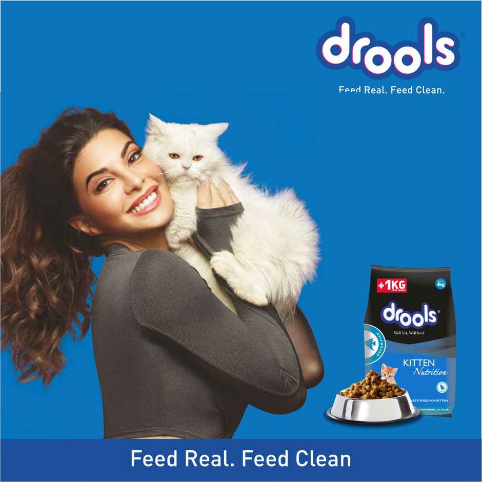 Drools Ocean Fish Kitten Cat Food (3 kg+1 kg Food Free Inside)